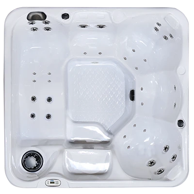 Hawaiian PZ-636L hot tubs for sale in Lascruces